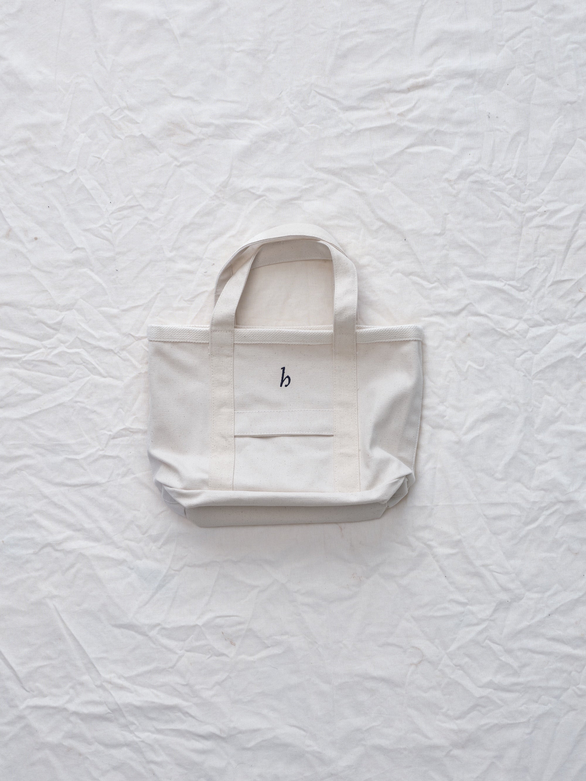 Hanover Mini tote flat lay